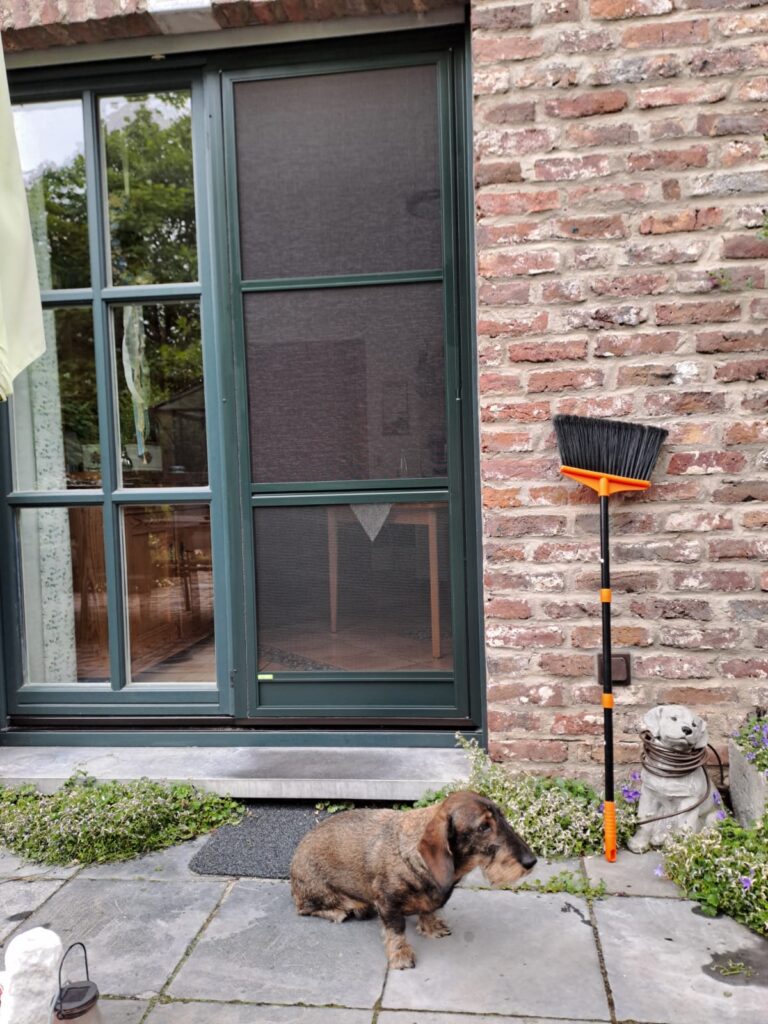 Insektenschutzgitter in in Aachen